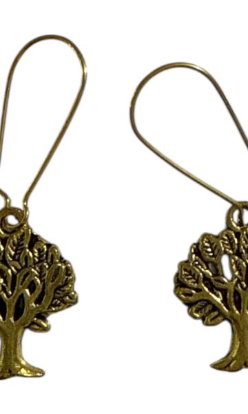 Elegant Daily Wear Earrings